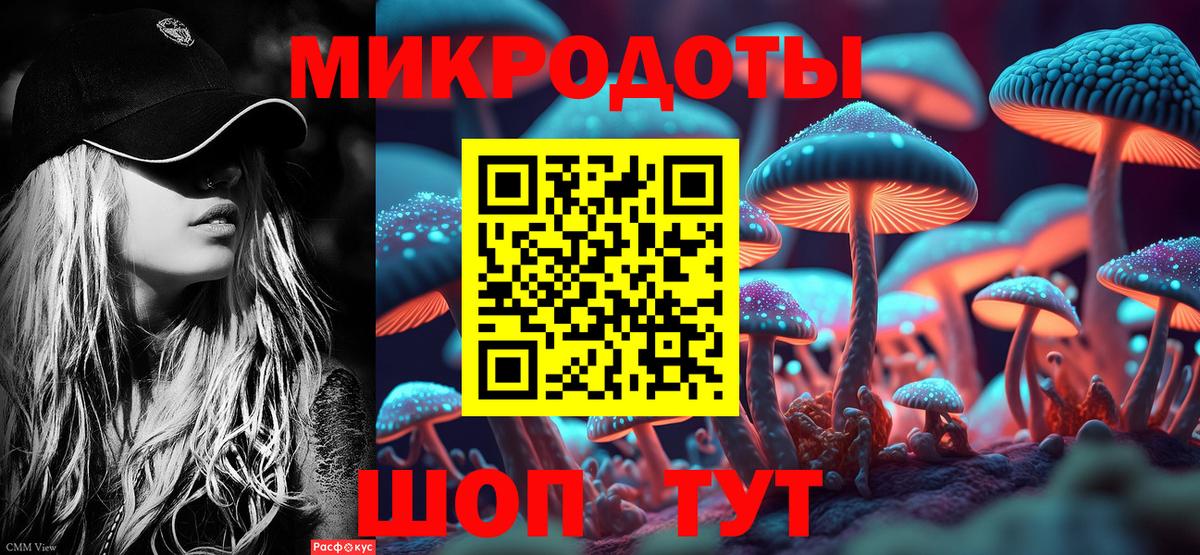 Павлово  где купить наркотик  Вход с VPN  Галлюциногенные грибы мицелий 