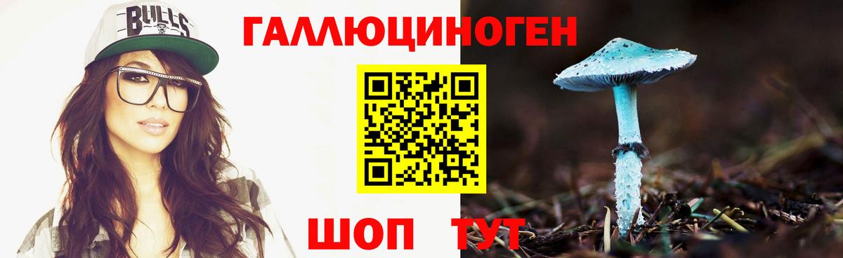 Галлюциногенные грибы Psilocybine cubensis Павлово